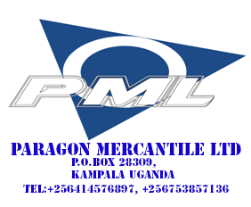 PARAGON MERCANTILE LTD